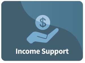 income icon